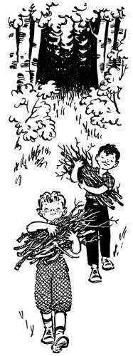 Сто затей двух друзей. Приятели-изобрететели - _58.jpg