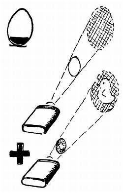 Сто затей двух друзей. Приятели-изобрететели - _82.jpg