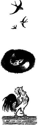 Сто затей двух друзей. Приятели-изобрететели - _87.jpg