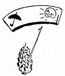 Сто затей двух друзей. Приятели-изобрететели - _91.jpg