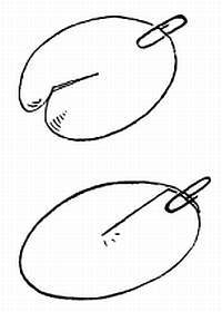 Сто затей двух друзей. Приятели-изобрететели - _190.jpg