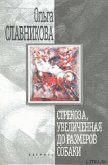 Стрекоза, увеличенная до размеров собаки - Славникова Ольга Александровна