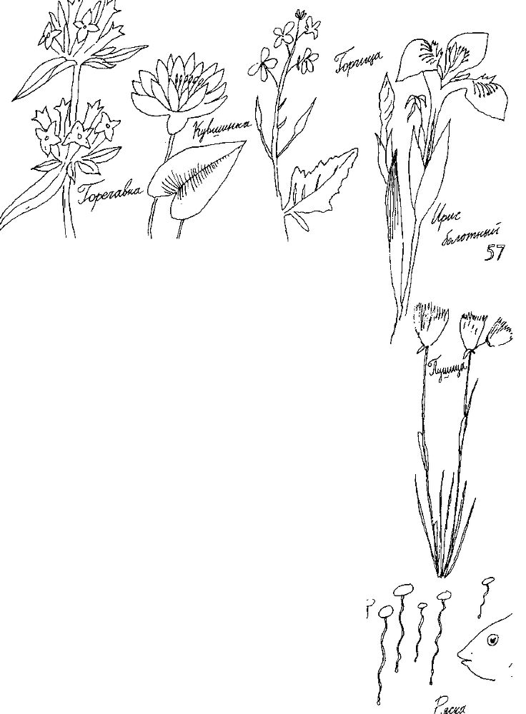 Малыш и река - i_067.png