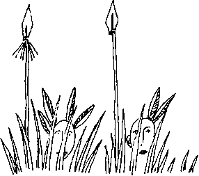 Малыш и река - i_081.png