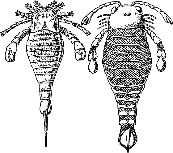 Жизнь моря - i_029.png