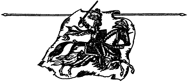 Тайны средневековых рыцарей - i_023.png