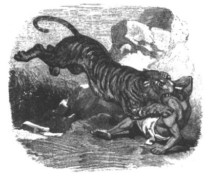 Приключения парижанина в стране львов, в стране тигров и в стране бизонов - _0821.jpg