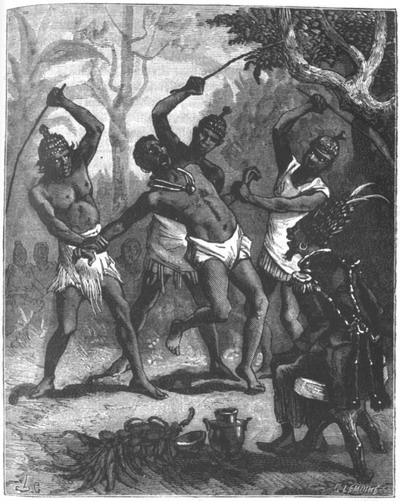 Приключения парижанина в стране львов, в стране тигров и в стране бизонов - _0875.jpg