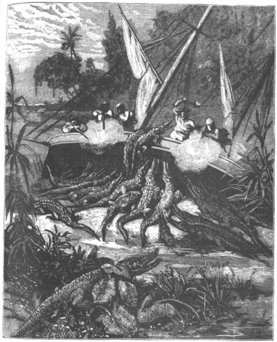 Приключения парижанина в стране львов, в стране тигров и в стране бизонов - _0881.jpg