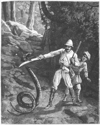 Приключения парижанина в стране львов, в стране тигров и в стране бизонов - _1017.jpg