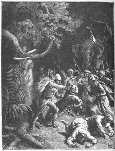 Приключения парижанина в стране львов, в стране тигров и в стране бизонов - _1020.jpg