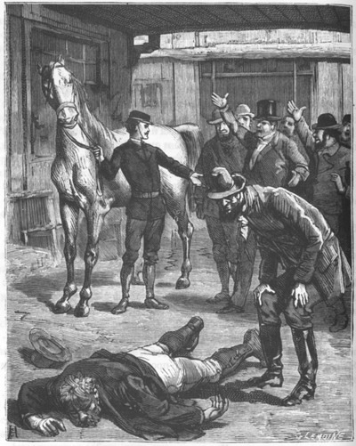 Приключения парижанина в стране львов, в стране тигров и в стране бизонов - _1072.jpg