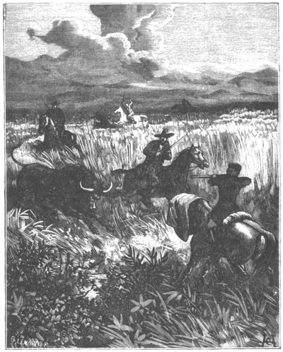 Приключения парижанина в стране львов, в стране тигров и в стране бизонов - _1103.jpg