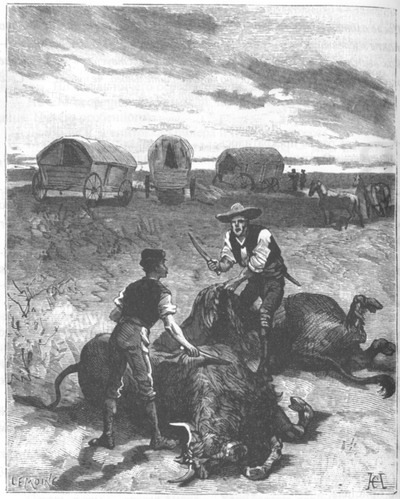 Приключения парижанина в стране львов, в стране тигров и в стране бизонов - _1106.jpg