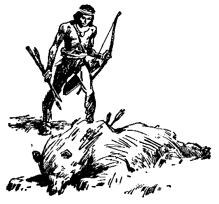 Сын племени Навахов - pic_12.png