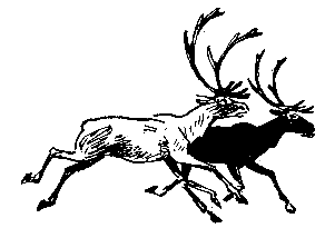 Сын племени Навахов - pic_7.png