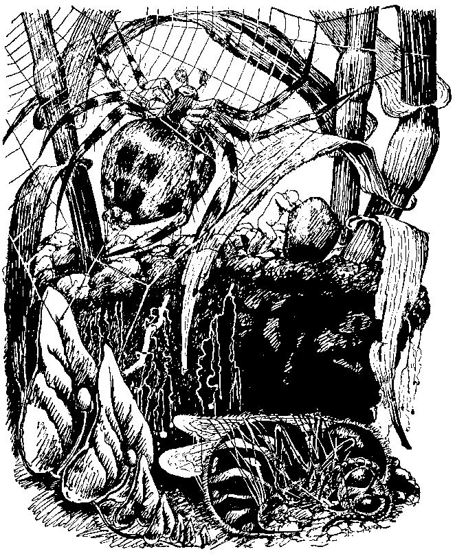 Необыкновенные приключения Карика и Вали (Художник Э. Кондиайн) - pic_6.png