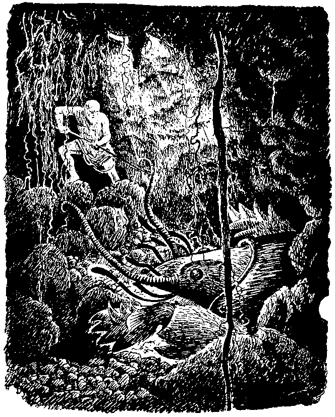 Необыкновенные приключения Карика и Вали (Художник Э. Кондиайн) - pic_10.png