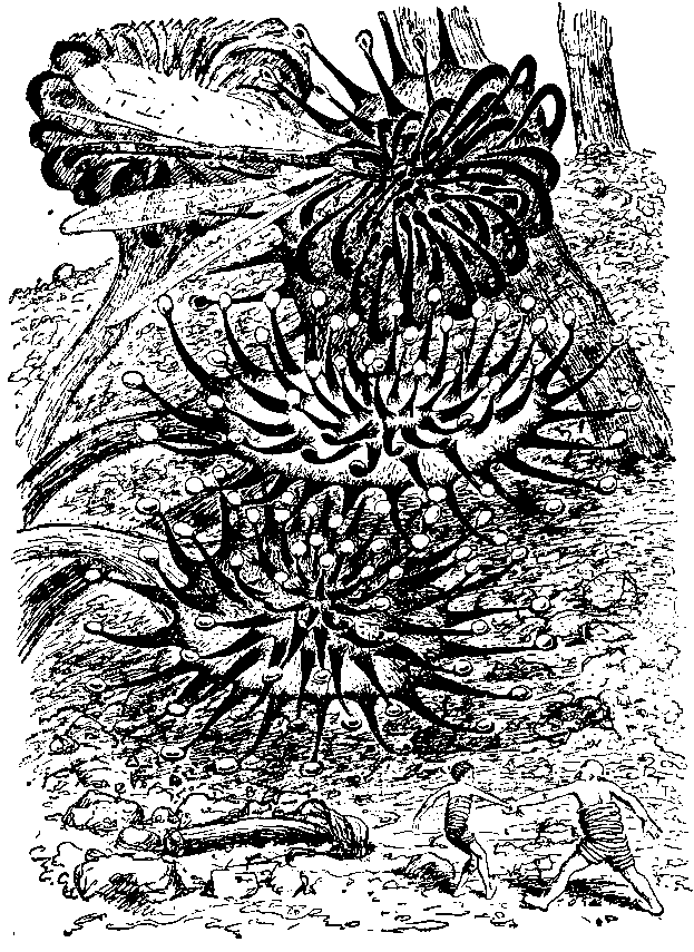 Необыкновенные приключения Карика и Вали (Художник Э. Кондиайн) - pic_21.png