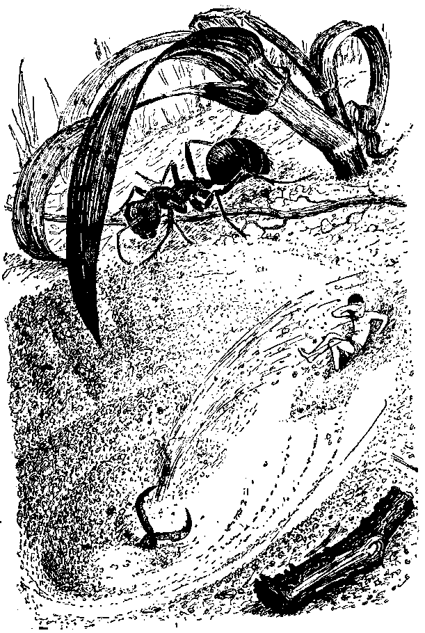 Необыкновенные приключения Карика и Вали (Художник Э. Кондиайн) - pic_23.png