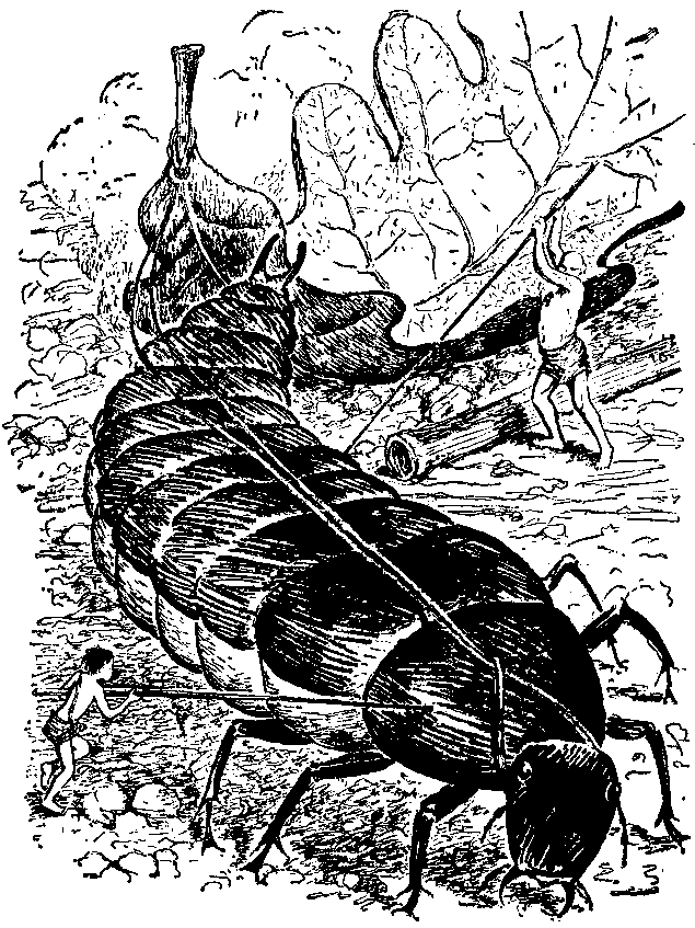 Необыкновенные приключения Карика и Вали (Художник Э. Кондиайн) - pic_24.png