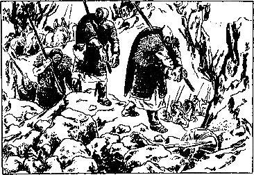 Меч короля Афонсу - i_016.png