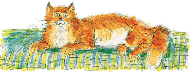 Весёлые рассказы (сборник) - i_011.jpg