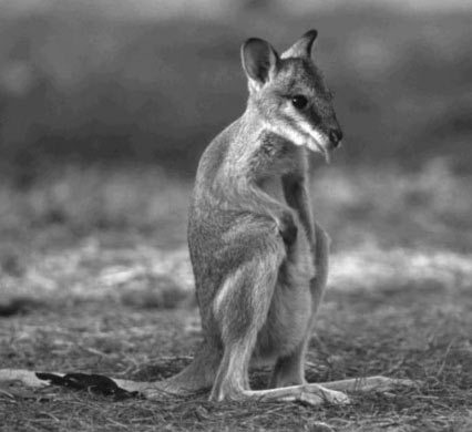 Книга для тех, кто делает слишком много - i_002.jpg