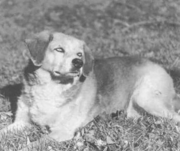 Книга для тех, кто делает слишком много - i_004.jpg