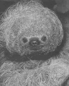 Книга для тех, кто делает слишком много - i_005.jpg