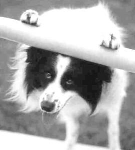 Книга для тех, кто делает слишком много - i_008.jpg