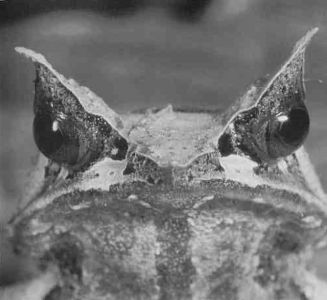 Книга для тех, кто делает слишком много - i_015.jpg