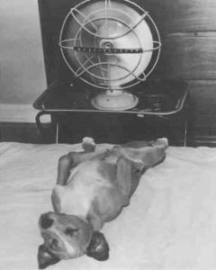 Книга для тех, кто делает слишком много - i_020.jpg