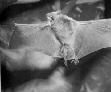 Книга для тех, кто делает слишком много - i_021.jpg