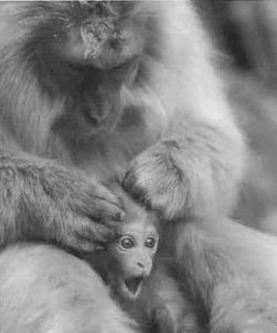 Книга для тех, кто делает слишком много - i_023.jpg