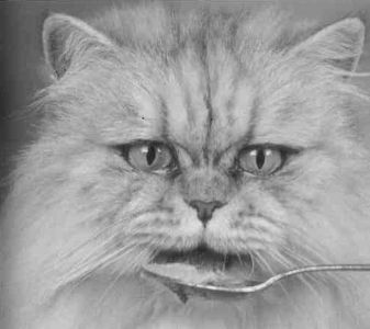 Книга для тех, кто делает слишком много - i_027.jpg