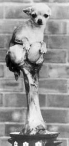 Книга для тех, кто делает слишком много - i_070.jpg