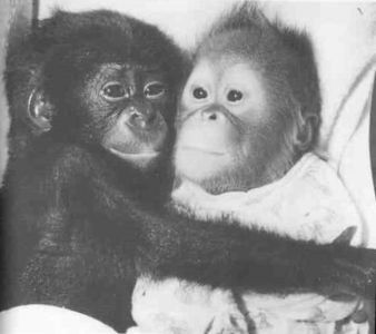 Книга для тех, кто делает слишком много - i_073.jpg