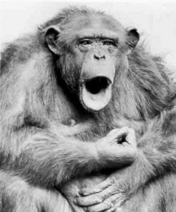 Книга для тех, кто делает слишком много - i_074.jpg