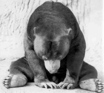 Книга для тех, кто делает слишком много - i_076.jpg