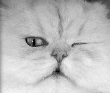 Книга для тех, кто делает слишком много - i_077.jpg