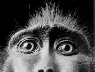 Книга для тех, кто делает слишком много - i_078.jpg