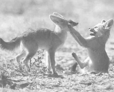 Книга для тех, кто делает слишком много - i_079.jpg