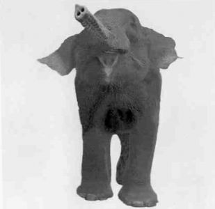 Книга для тех, кто делает слишком много - i_081.jpg