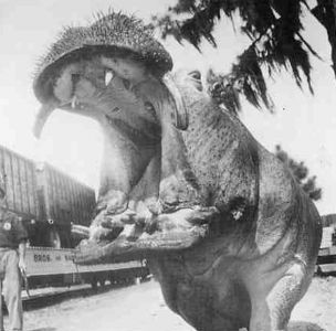 Книга для тех, кто делает слишком много - i_082.jpg