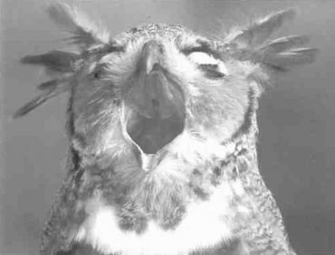 Книга для тех, кто делает слишком много - i_083.jpg