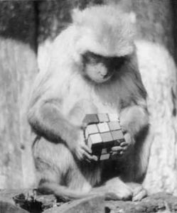 Книга для тех, кто делает слишком много - i_086.jpg