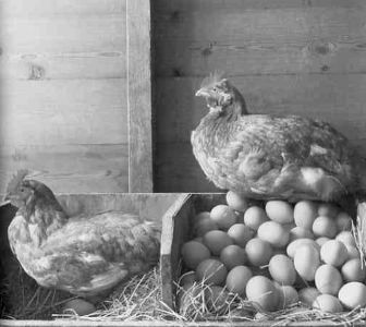 Книга для тех, кто делает слишком много - i_087.jpg