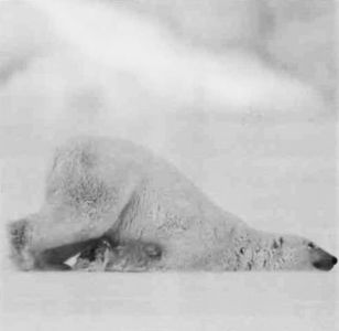 Книга для тех, кто делает слишком много - i_088.jpg