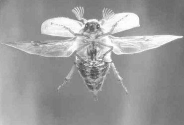 Книга для тех, кто делает слишком много - i_089.jpg